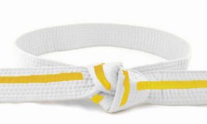 Best Of taekwondo yellow belt white stripe Yellow taekwondo martialarts